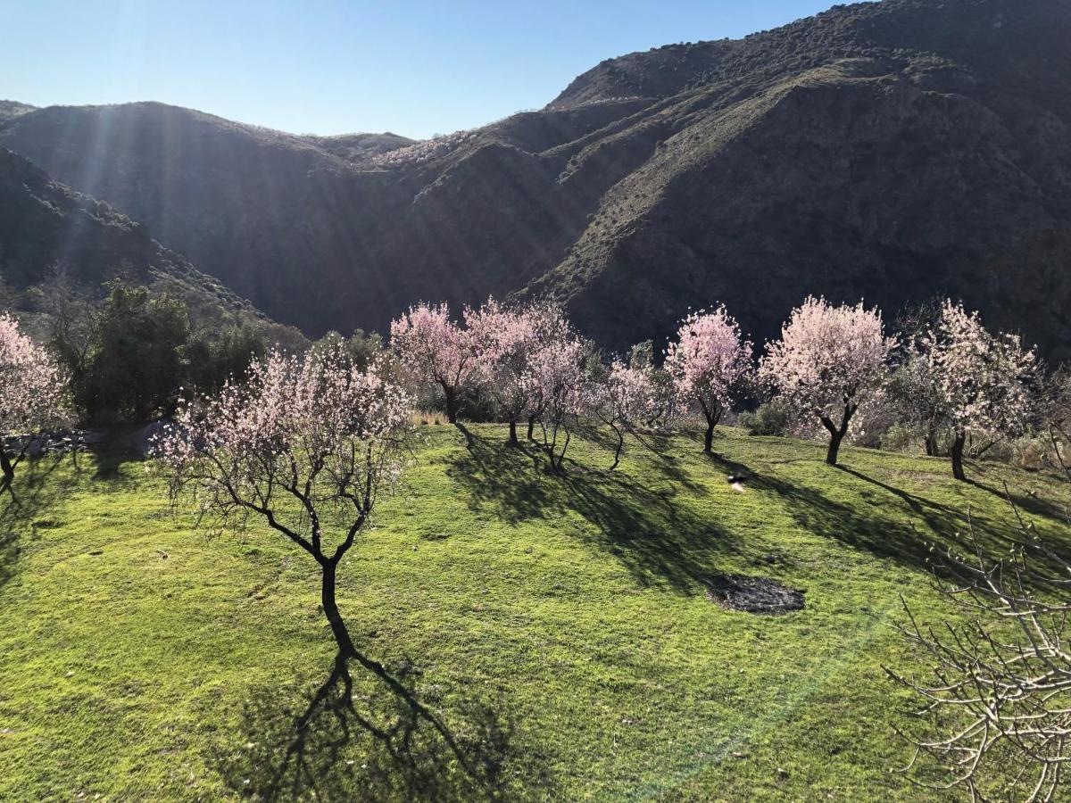 Casa Carmela, Rural House With Spectacular Views, In An Exquisite Area Villa Atalbeitar Bagian luar foto