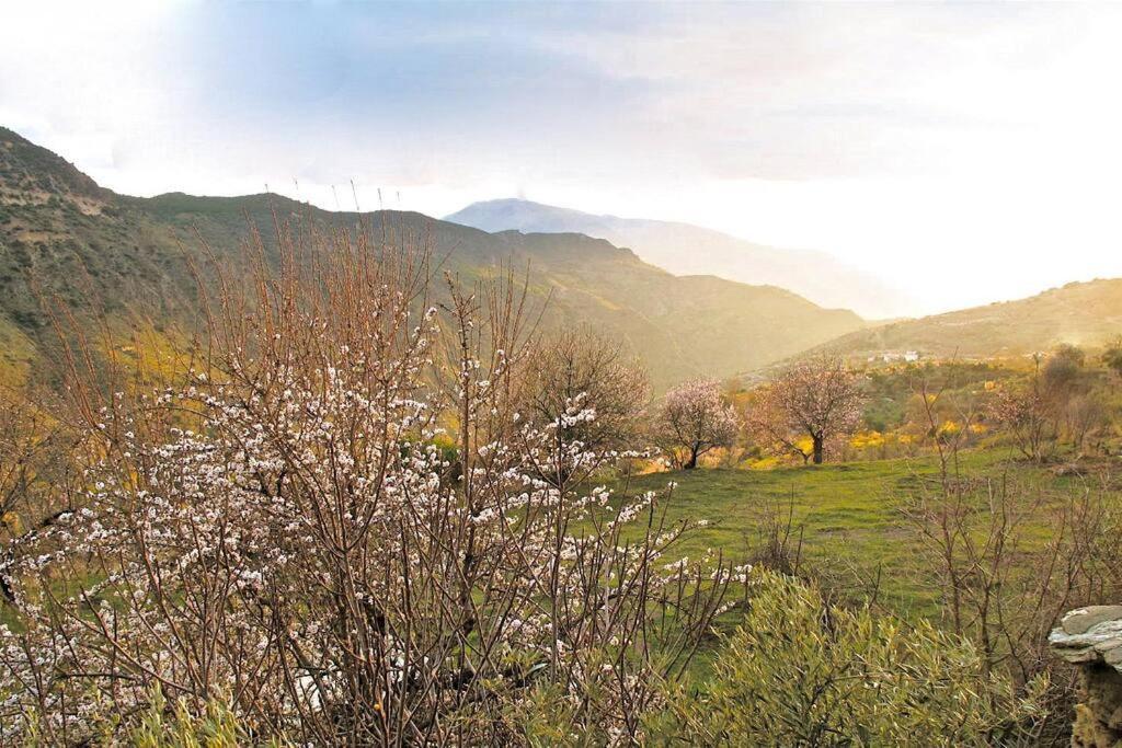 Casa Carmela, Rural House With Spectacular Views, In An Exquisite Area Villa Atalbeitar Bagian luar foto