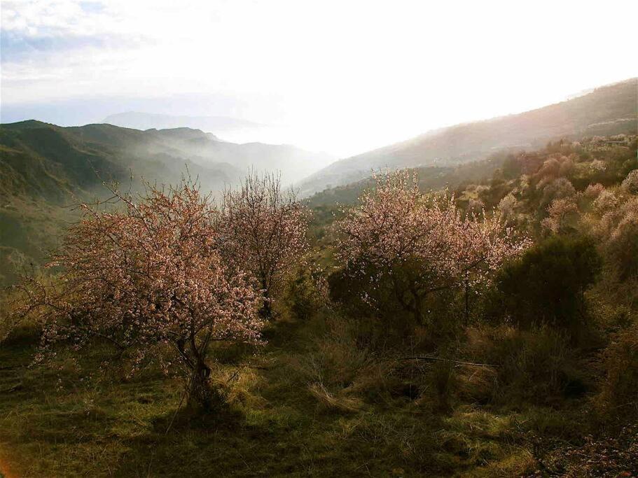 Casa Carmela, Rural House With Spectacular Views, In An Exquisite Area Villa Atalbeitar Bagian luar foto